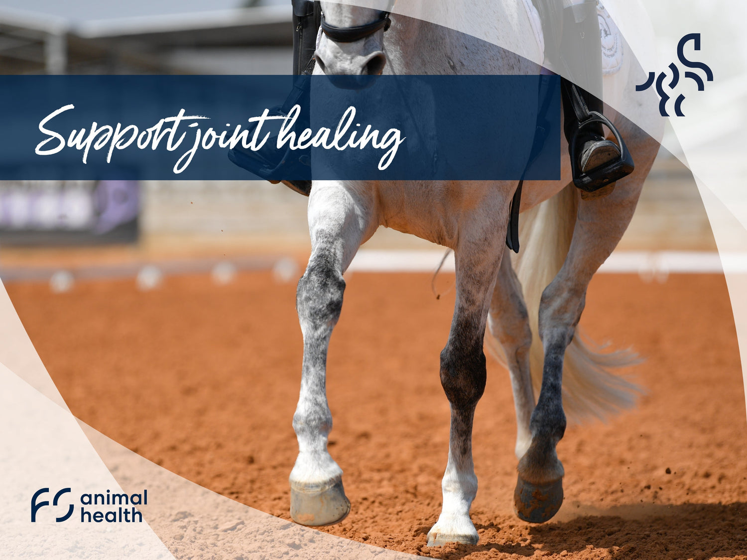 What can I feed to support the healing of my horse's joints?