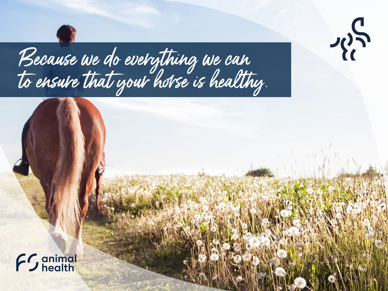 FS animal health: New logo and brand identity for Farm & Stable