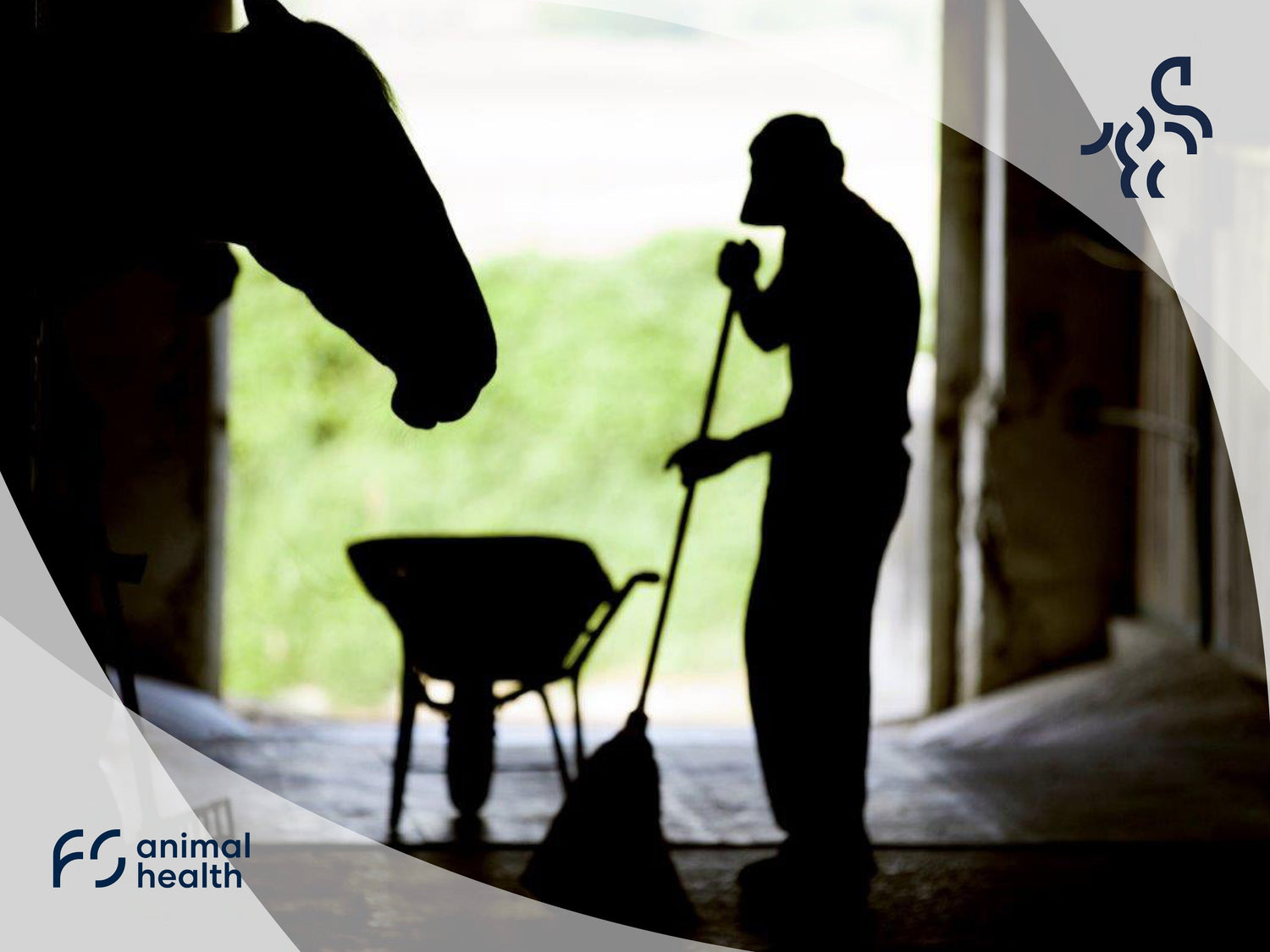 Store horse feed correctly - to keep your horse healthy!