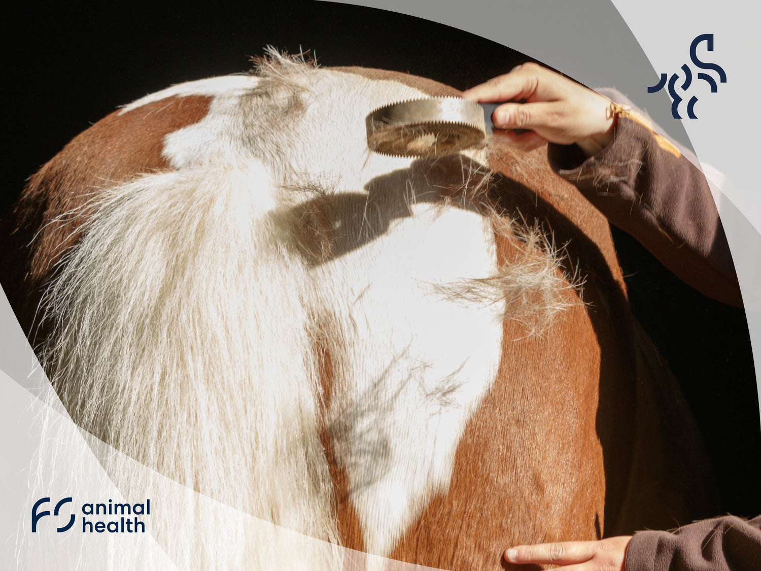 Metabolism and mineral supply