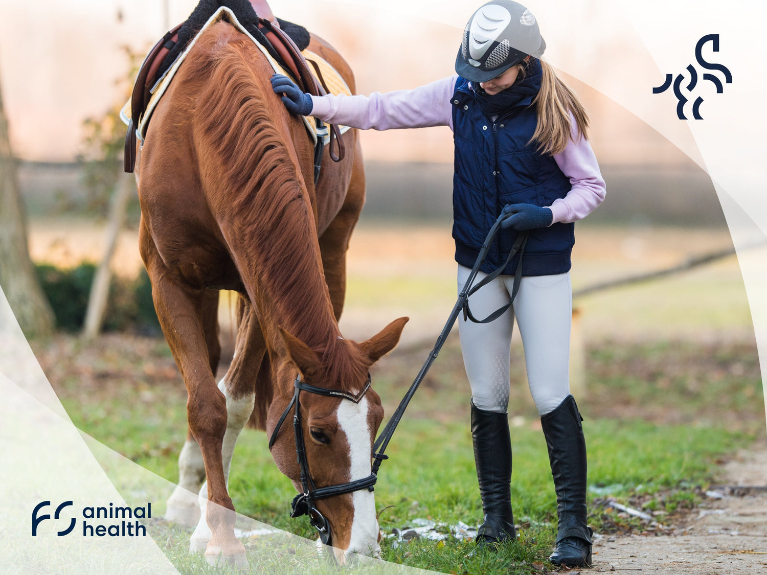 Did you know THIS about horse?