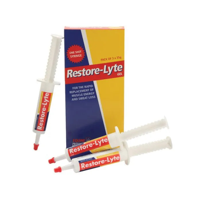 Restore-Lyte Gel Syringe 3x35g