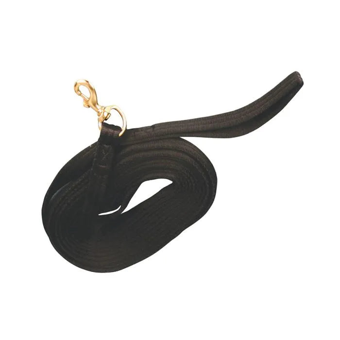Lunge Webbing Rein 8m (24') Black