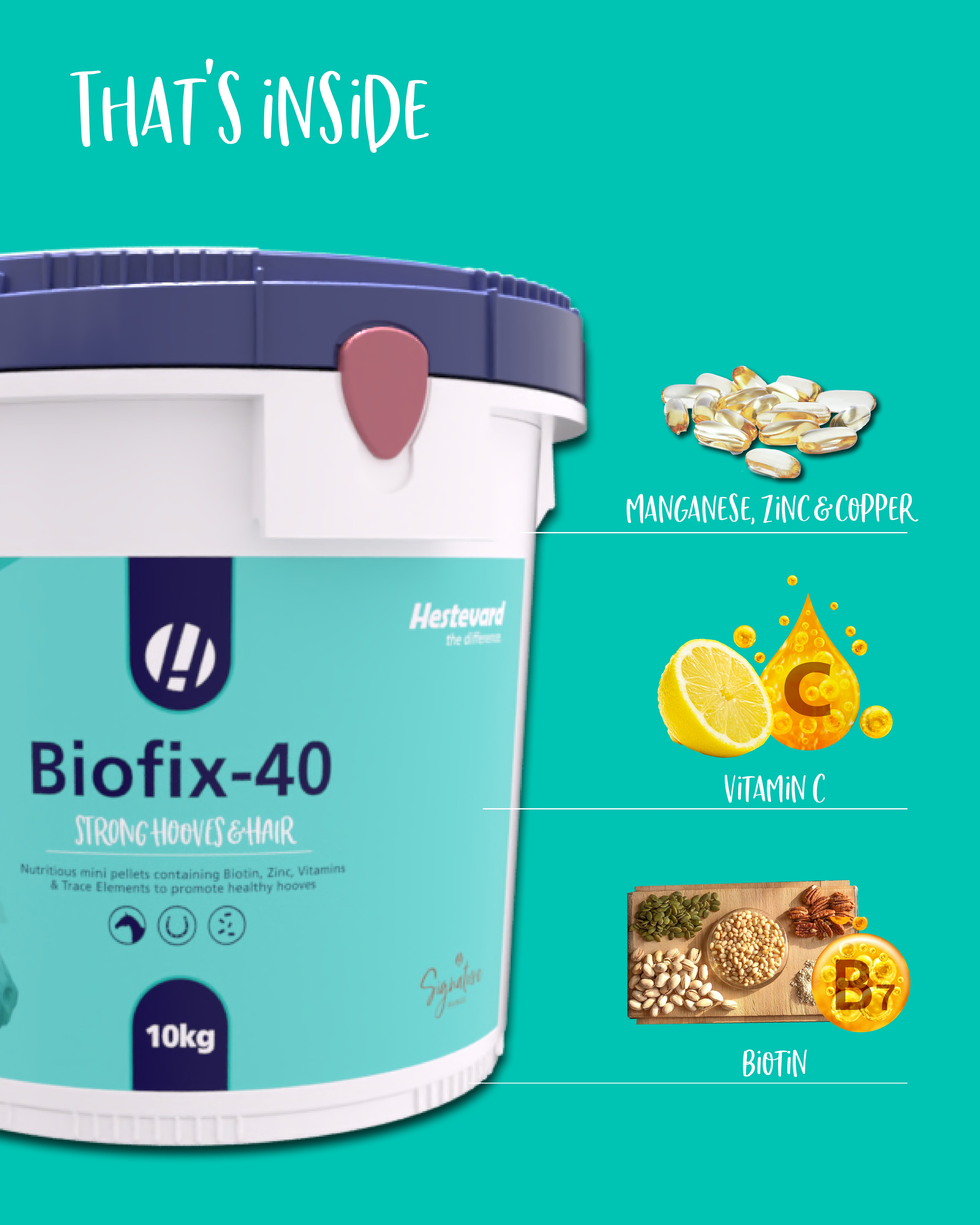Hestevard Biofix-40