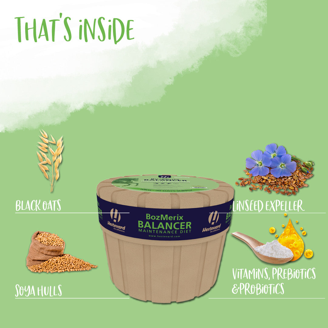 Hestevard BozMerix Balancer concentrated feed 10kg