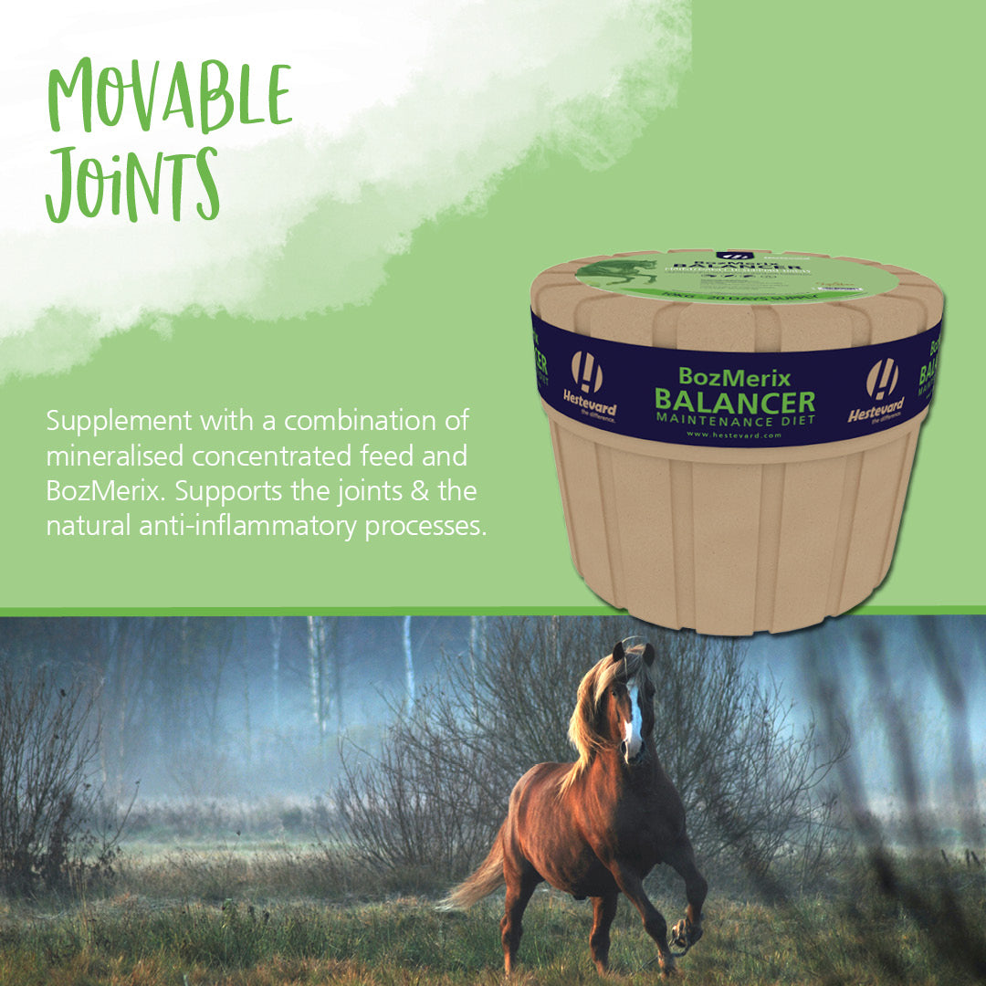 Hestevard BozMerix Balancer concentrated feed 10kg