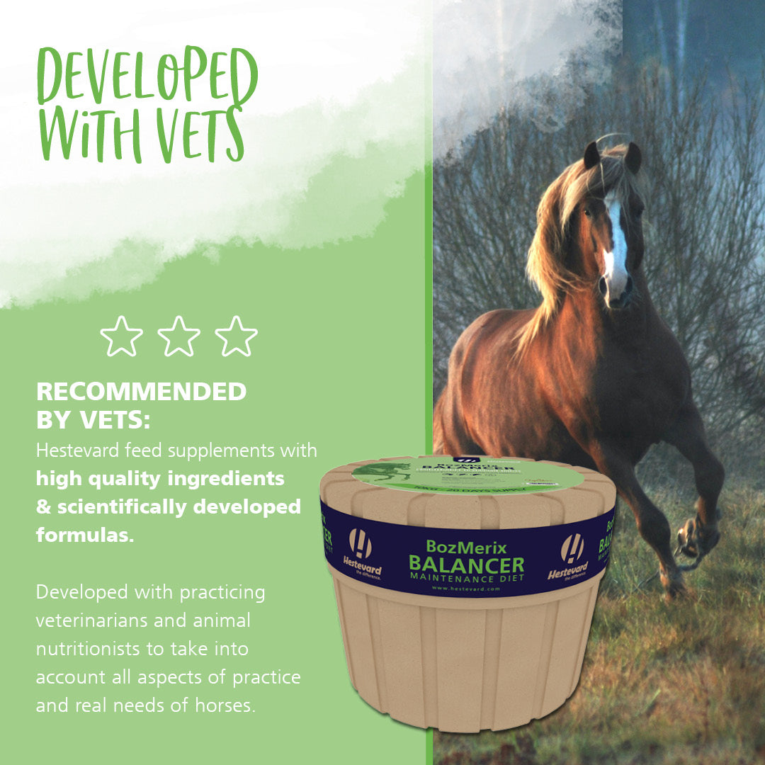 Hestevard BozMerix Balancer concentrated feed 10kg