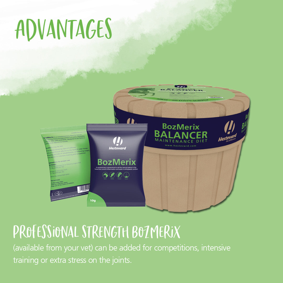 Hestevard BozMerix Balancer concentrated feed 10kg