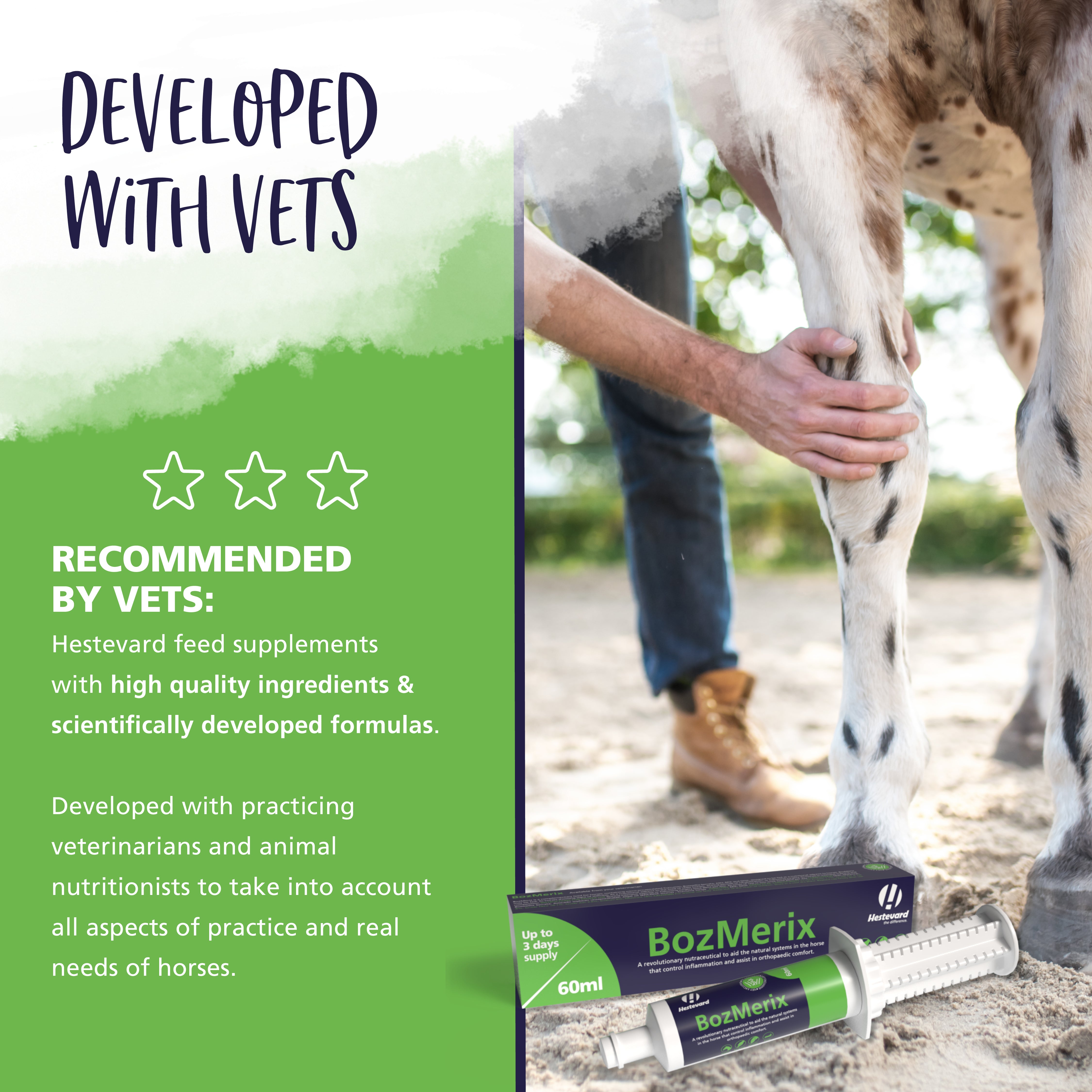 Hestevard BozMerix Paste 60ml