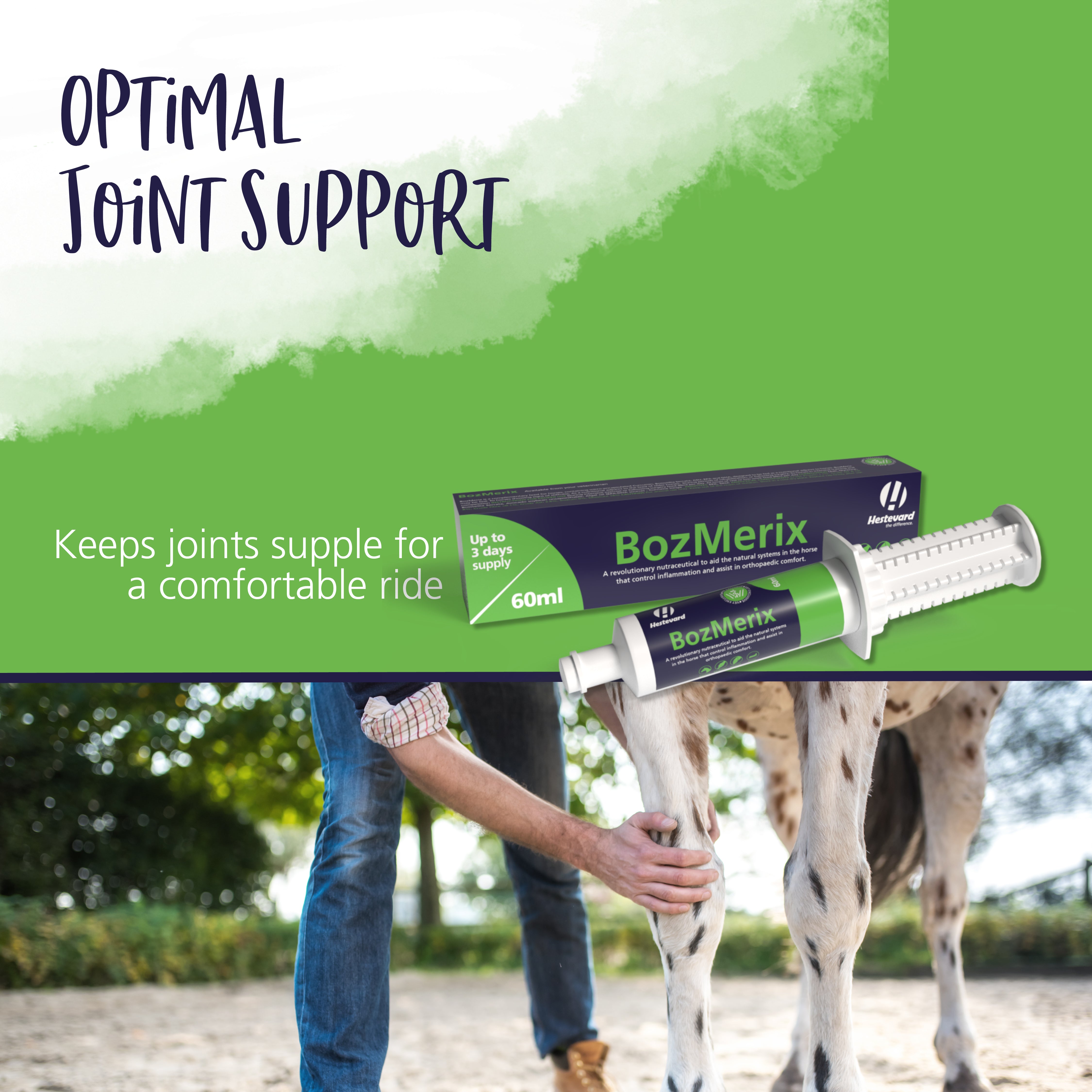 Hestevard BozMerix Paste 60ml