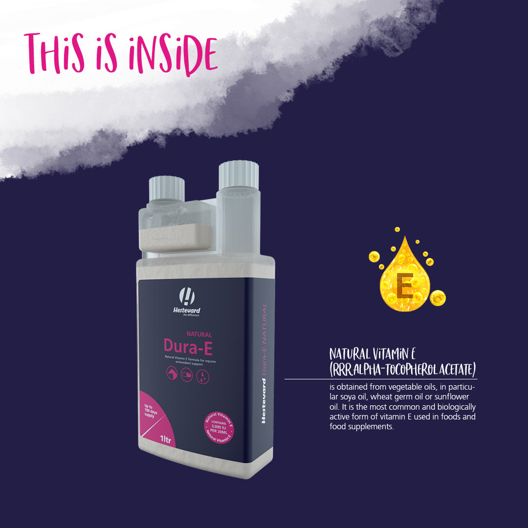 Hestevard Dura-E Natural