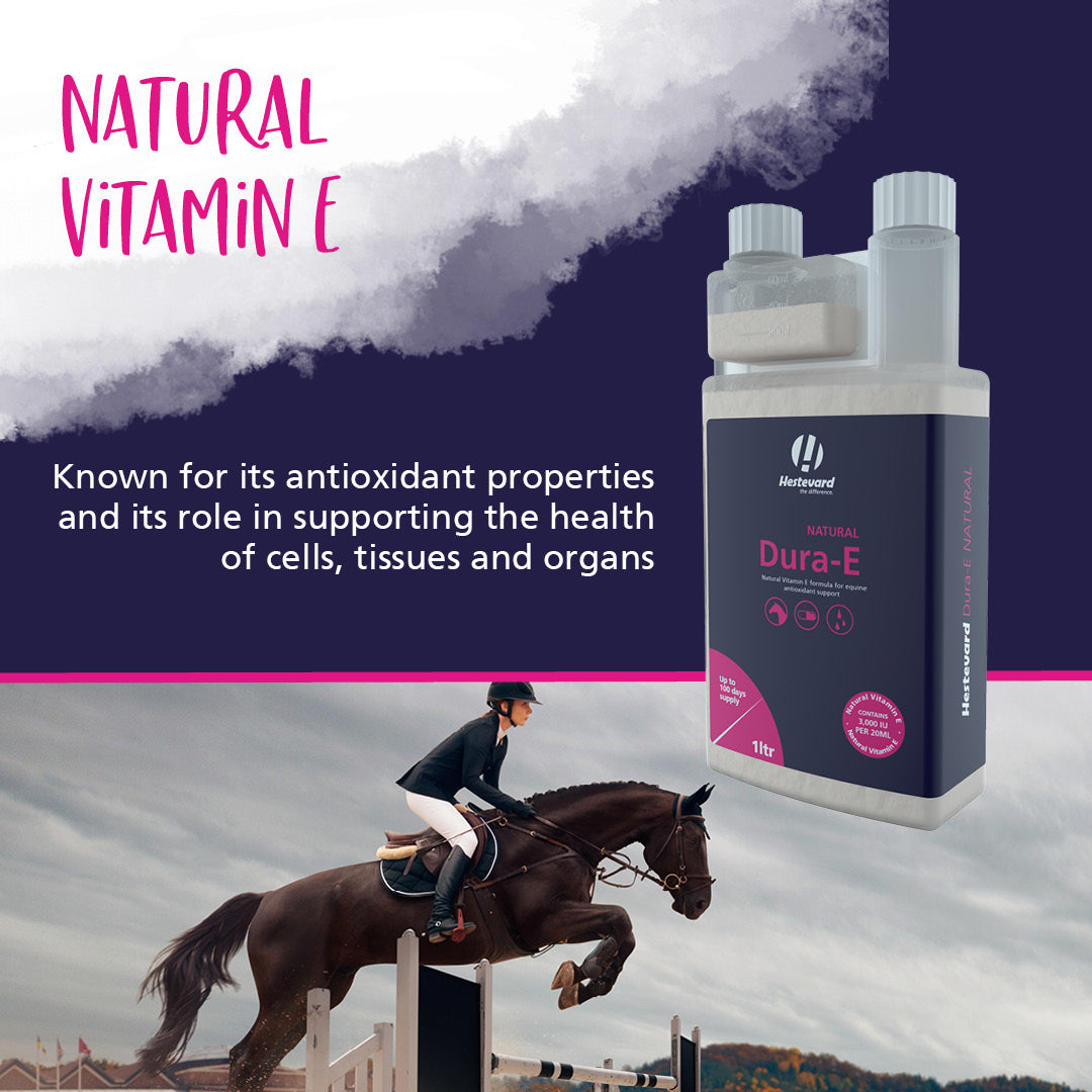 Hestevard Dura-E Natural