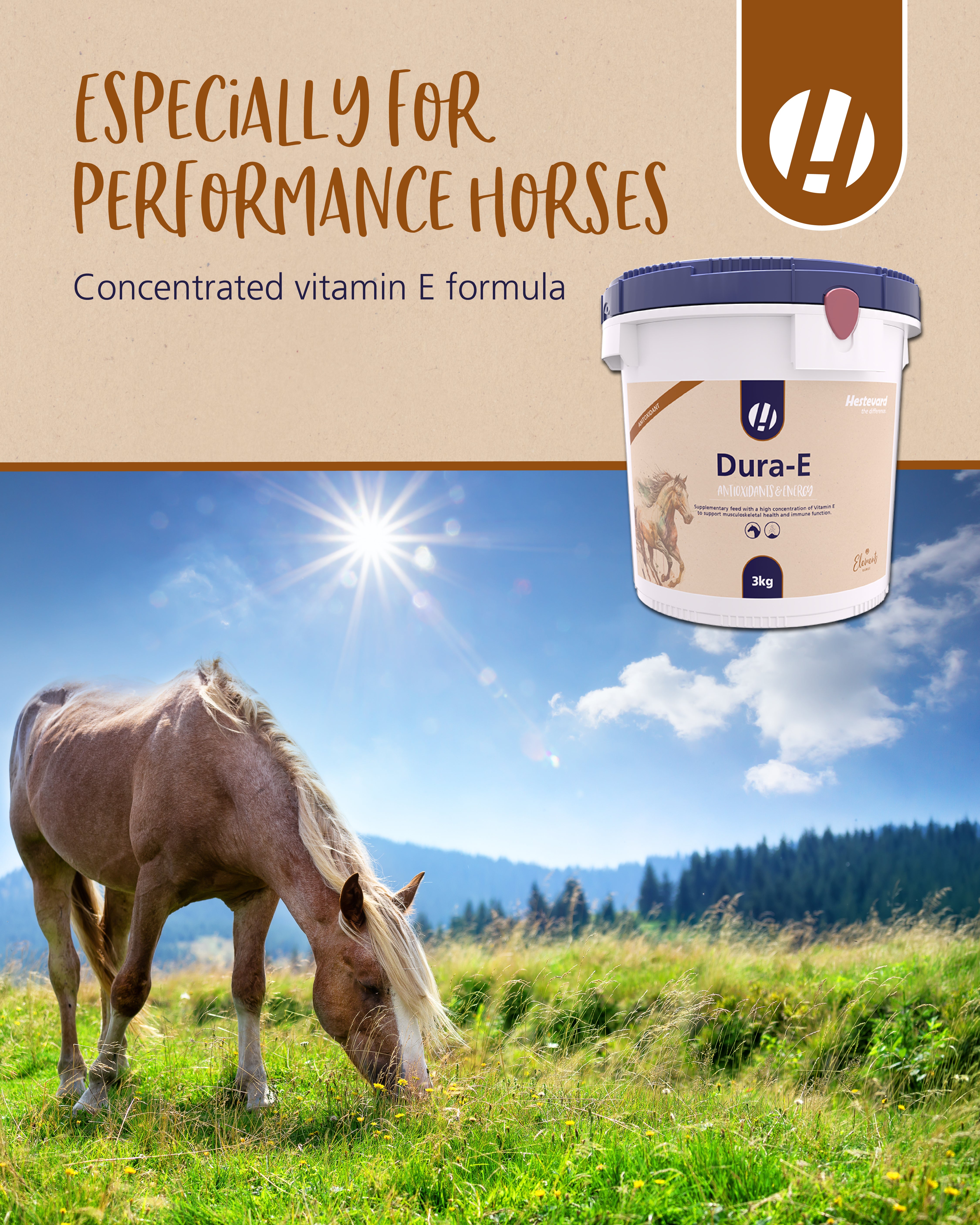 Hestevard Dura-E