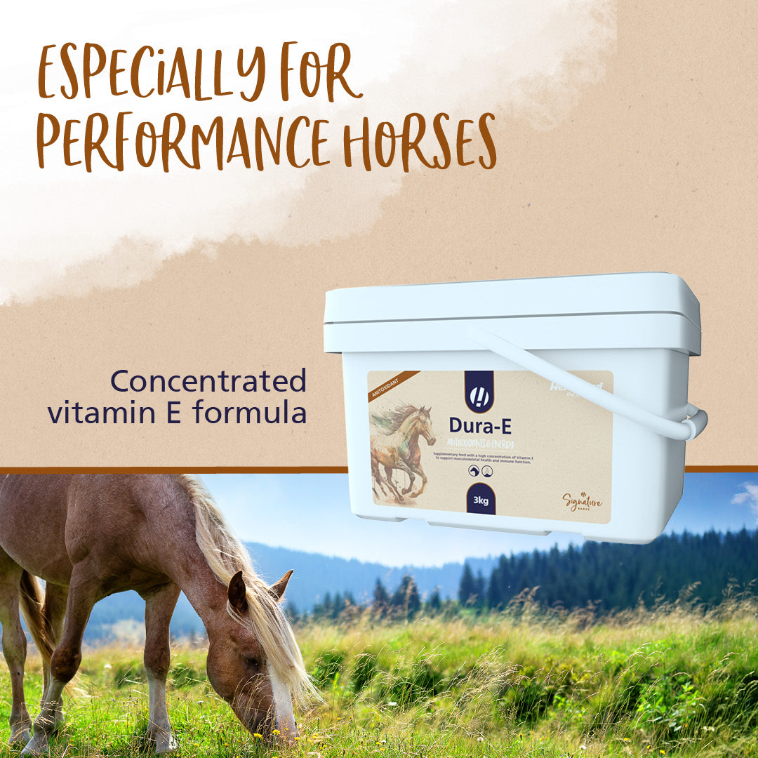 Hestevard Dura-E