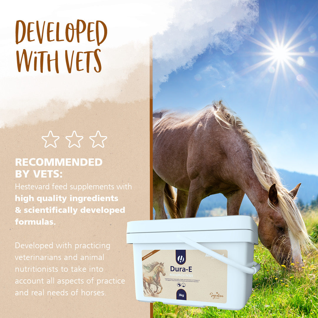 Hestevard Dura-E