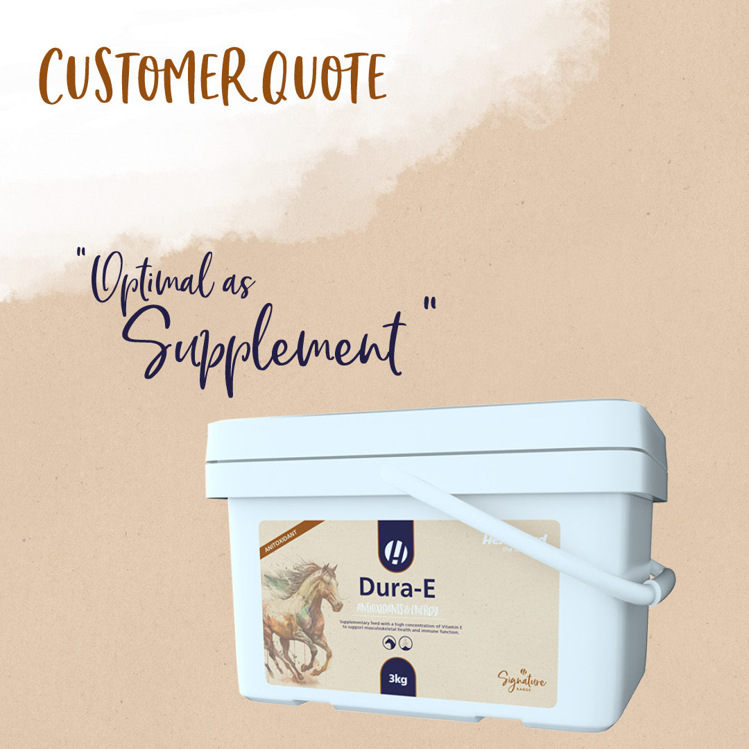 Hestevard Dura-E