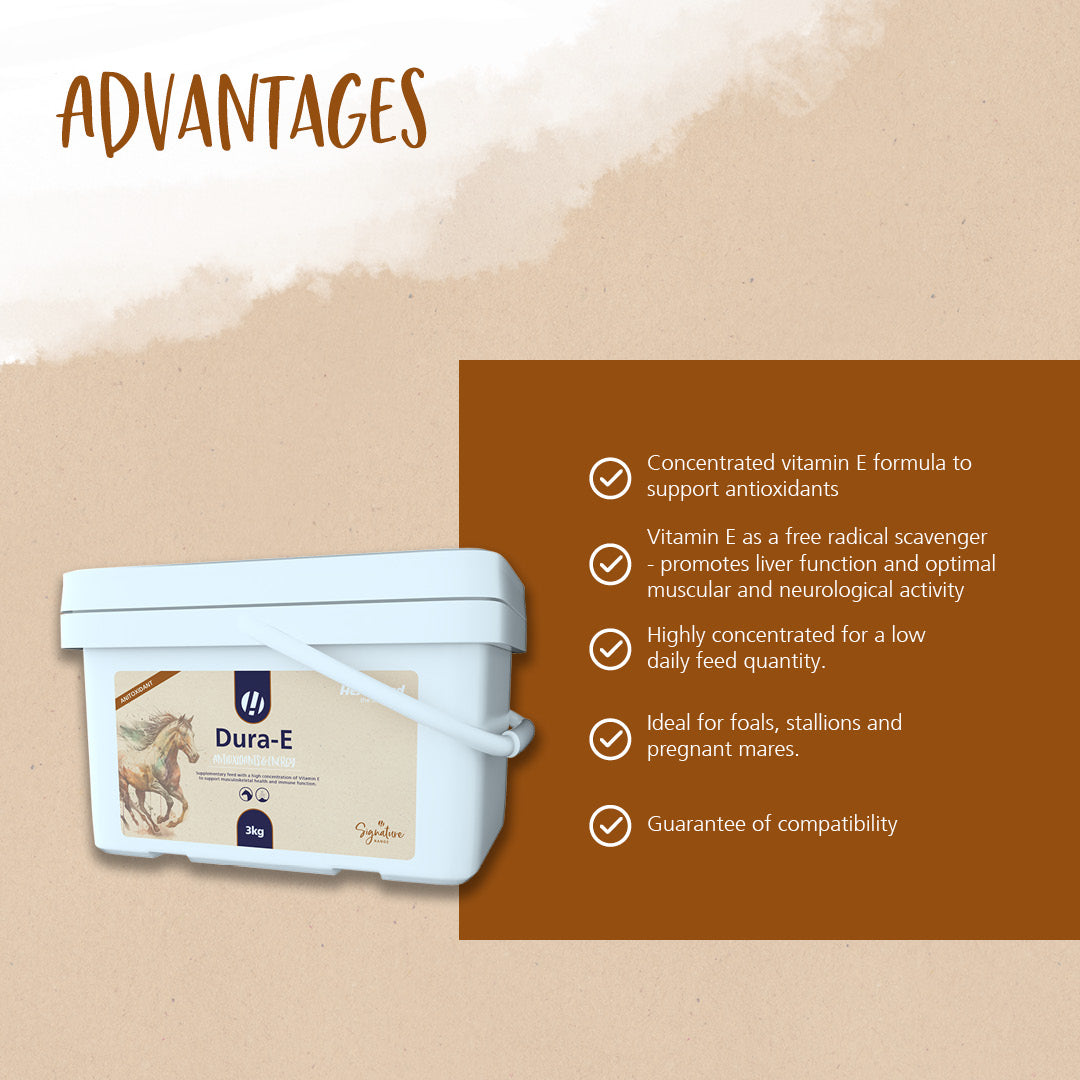 Hestevard Dura-E