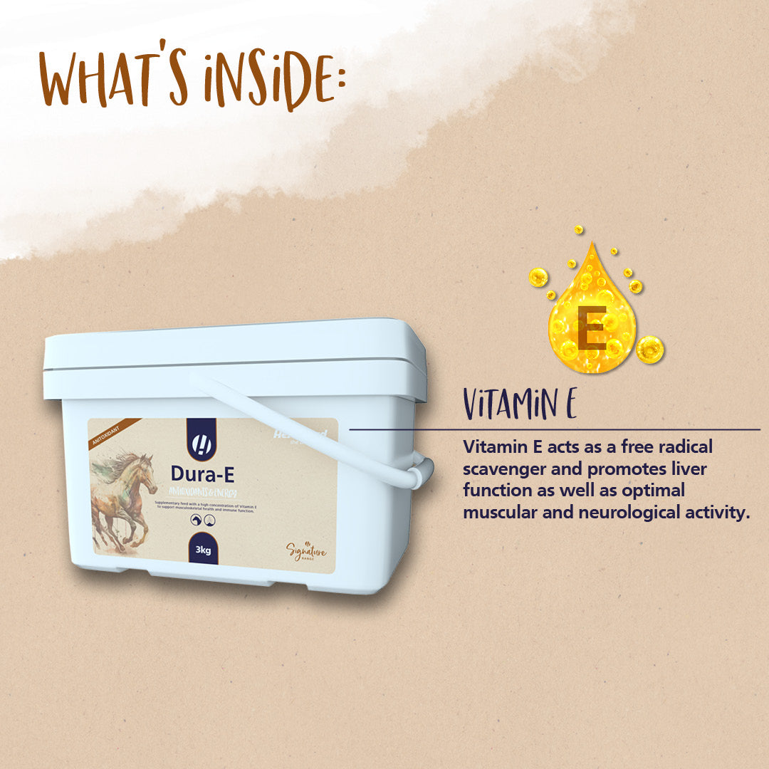 Hestevard Dura-E