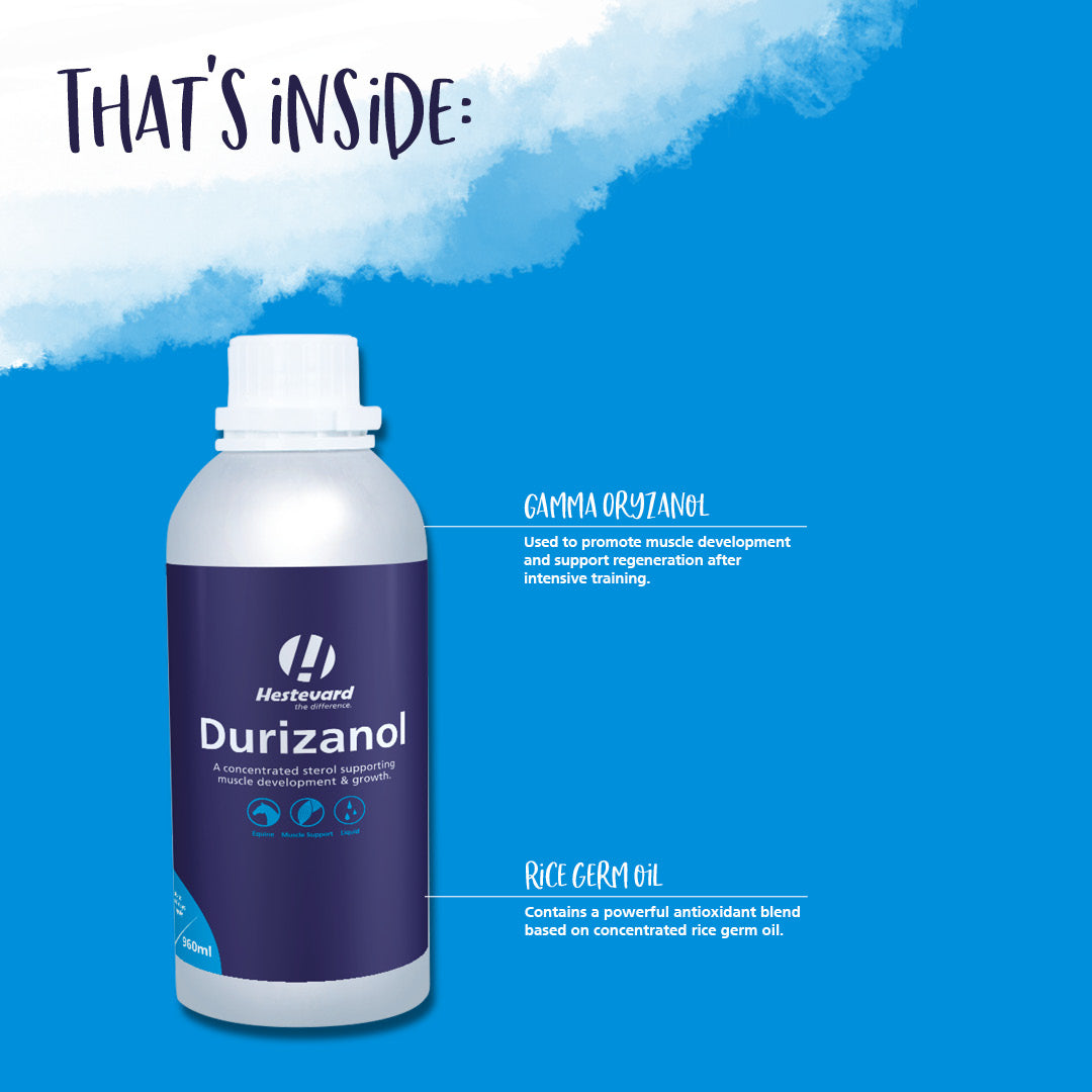 Hestevard Durizanol