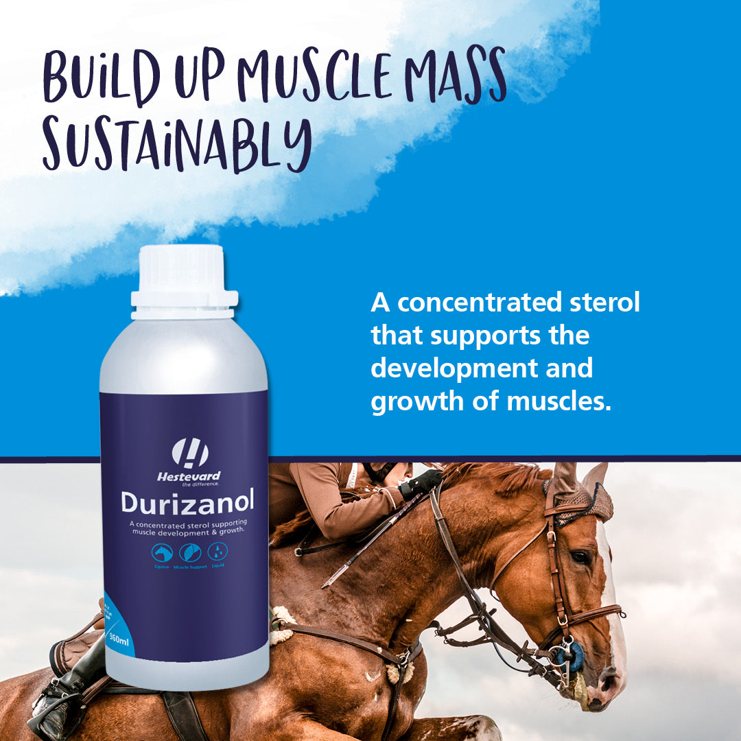 Hestevard Durizanol