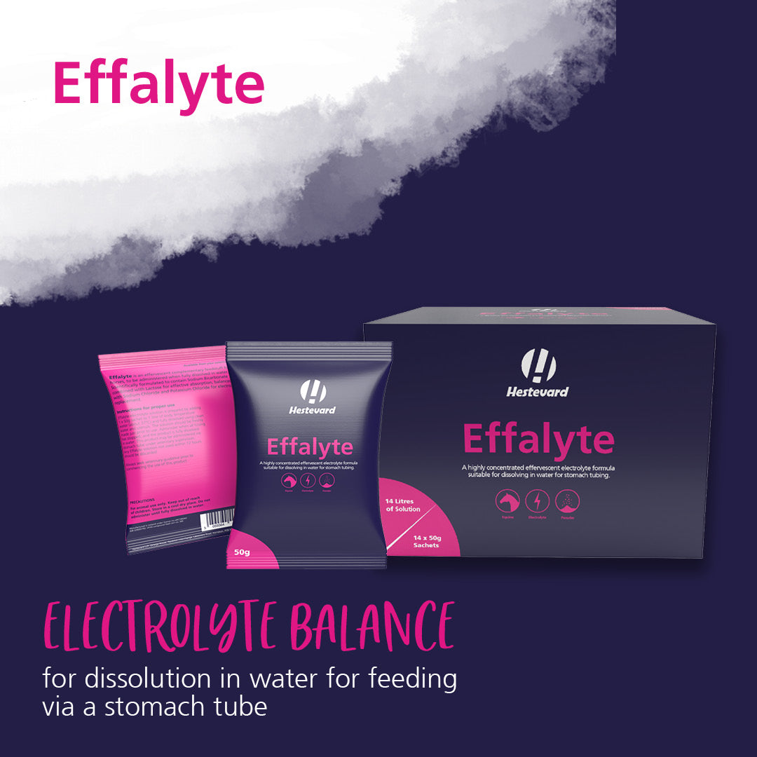 Hestevard Effalyte 14 x 50g