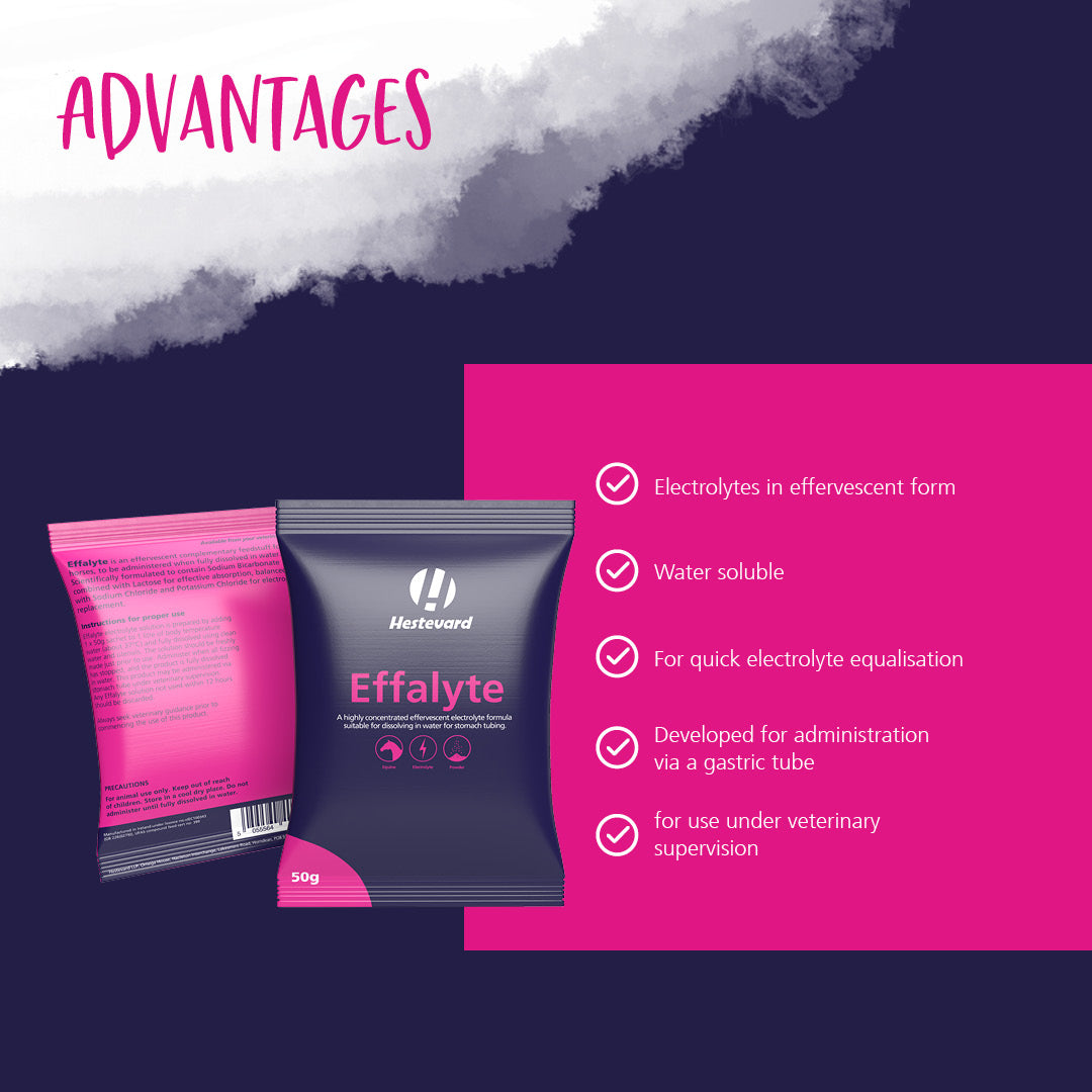 Hestevard Effalyte 14 x 50g