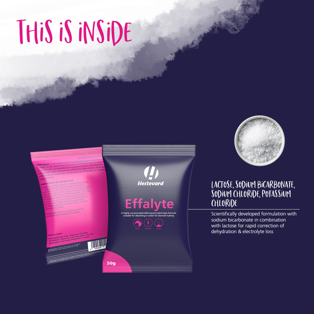 Hestevard Effalyte 14 x 50g