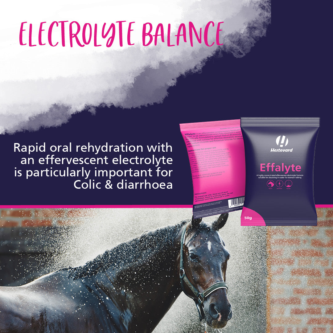 Hestevard Effalyte 14 x 50g