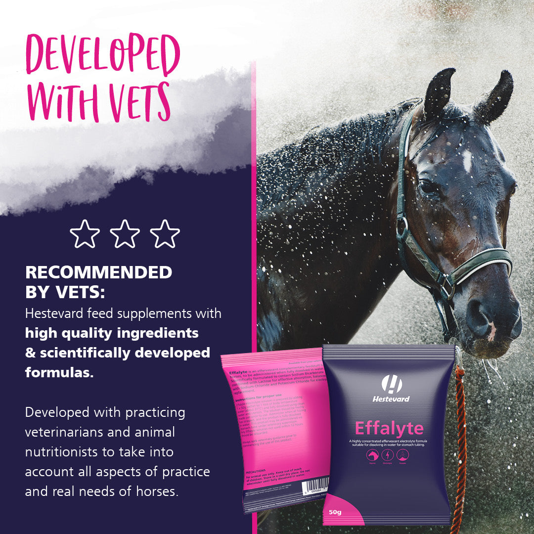 Hestevard Effalyte 14 x 50g