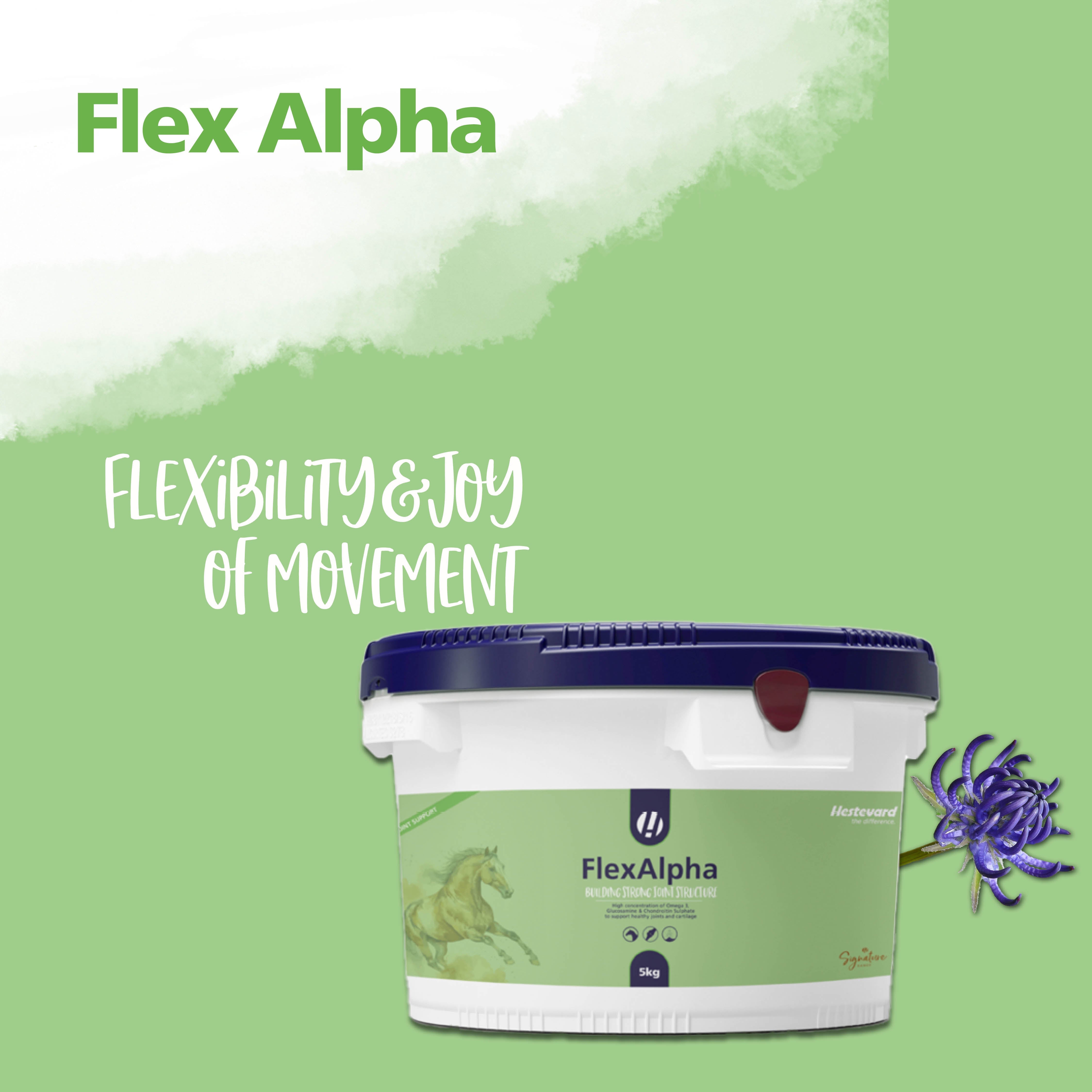 Hestevard FlexAlpha Powder