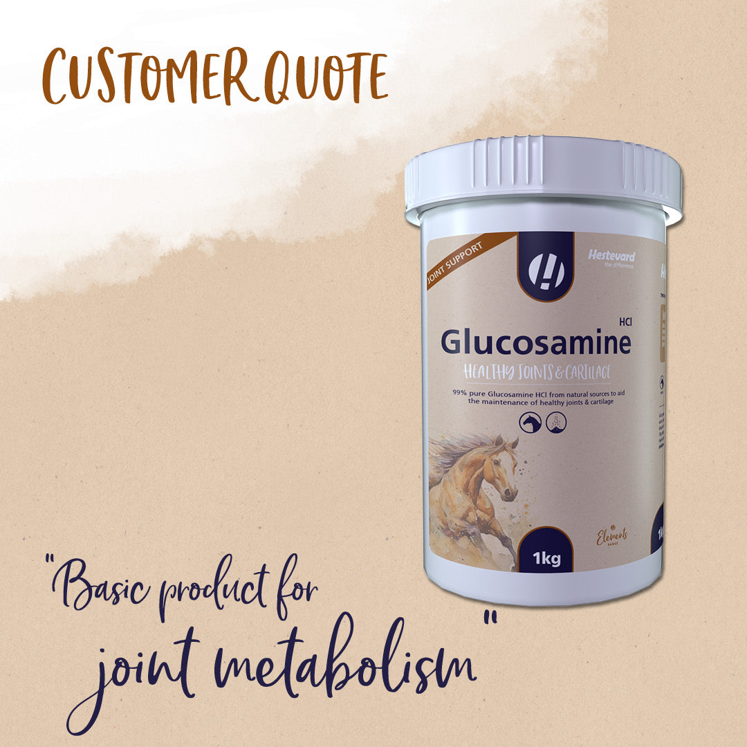 Hestevard Glucosamine