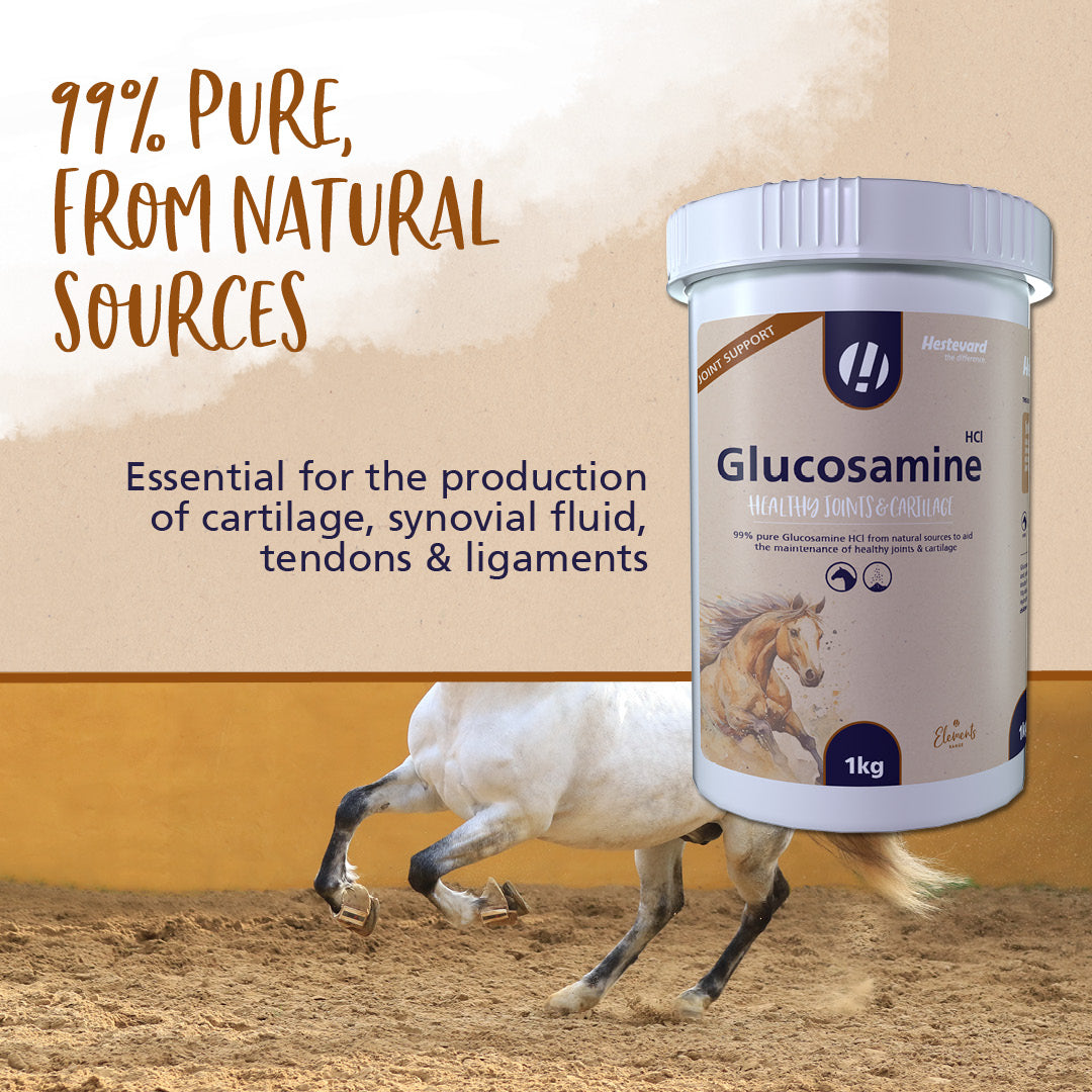 Hestevard Glucosamine