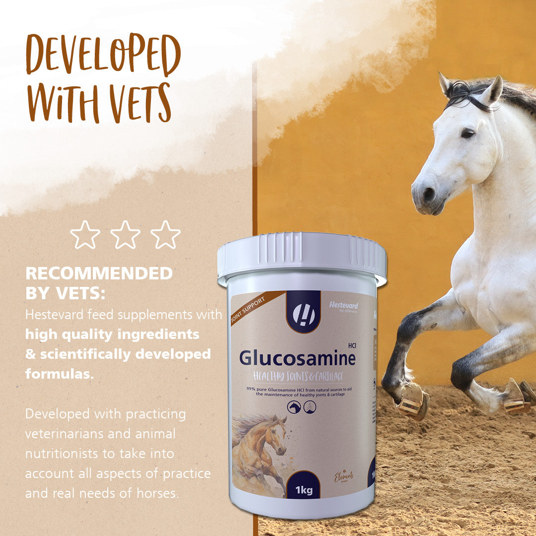 Hestevard Glucosamine