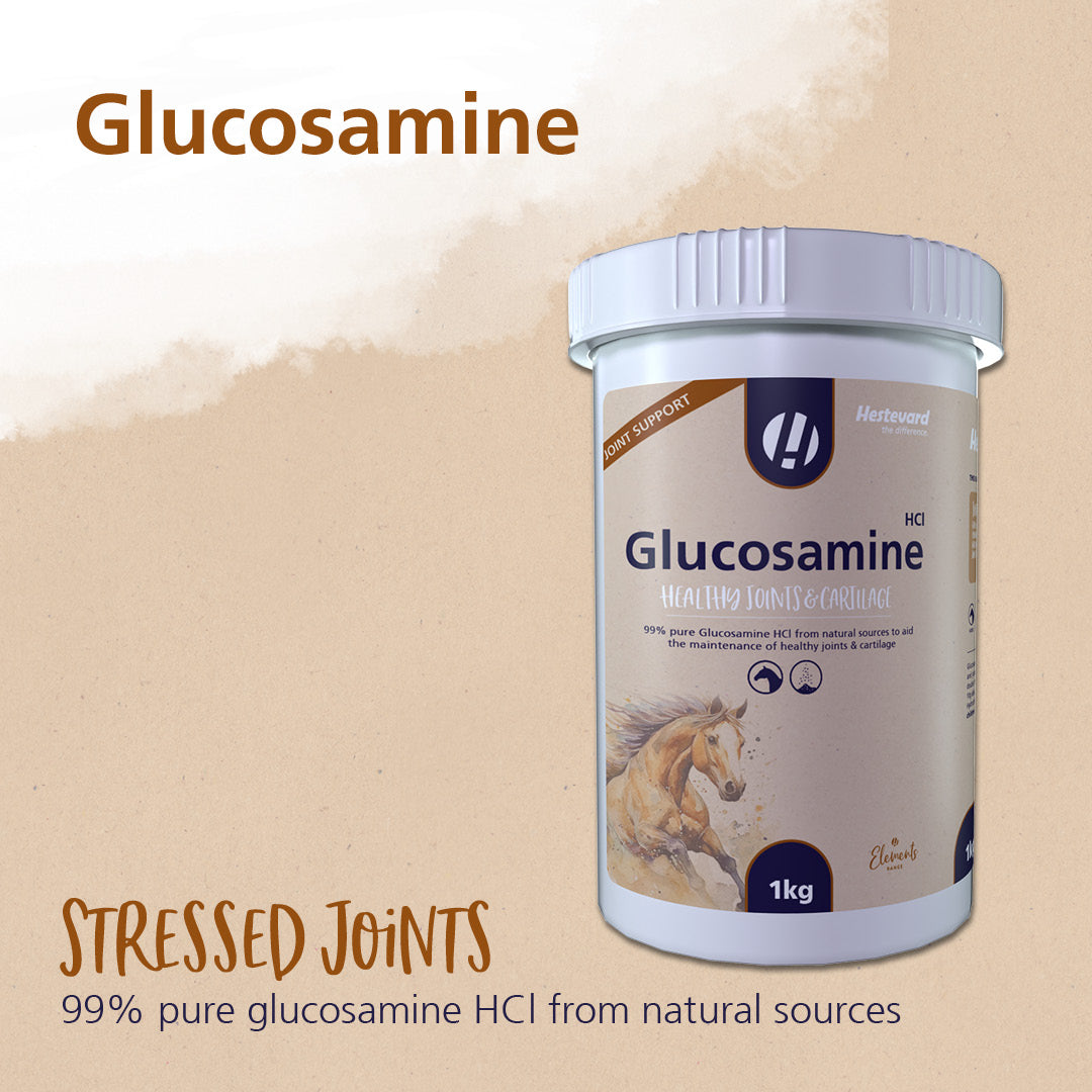 Hestevard Glucosamine