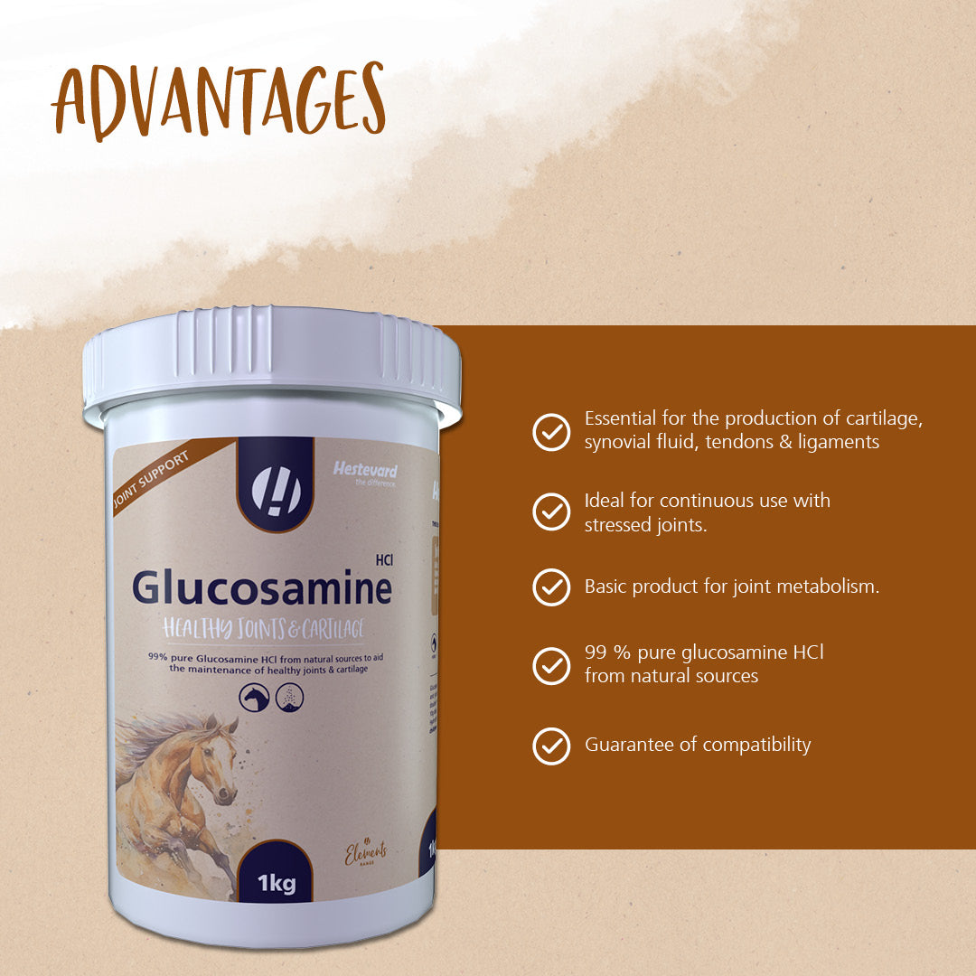 Hestevard Glucosamine