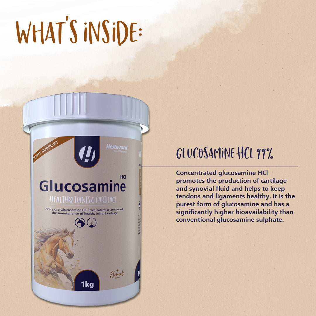 Hestevard Glucosamine