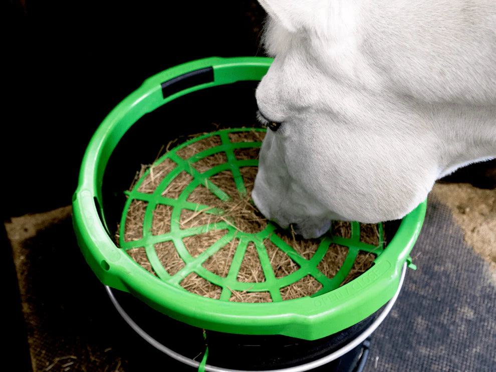 Haygain Forager Regulator