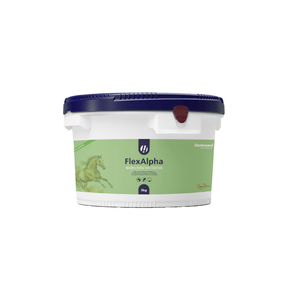 Hestevard FlexAlpha Powder