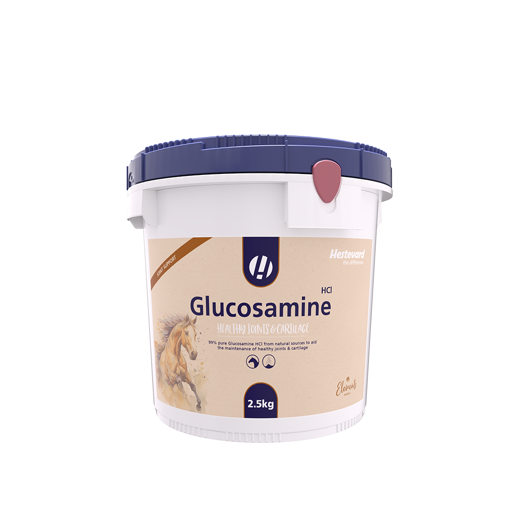 Hestevard Glucosamine