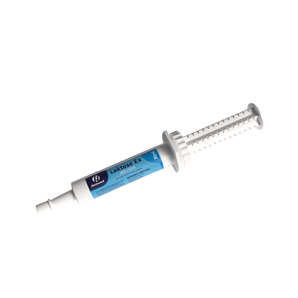 Hestevard Laktese Ex Paste 30ml