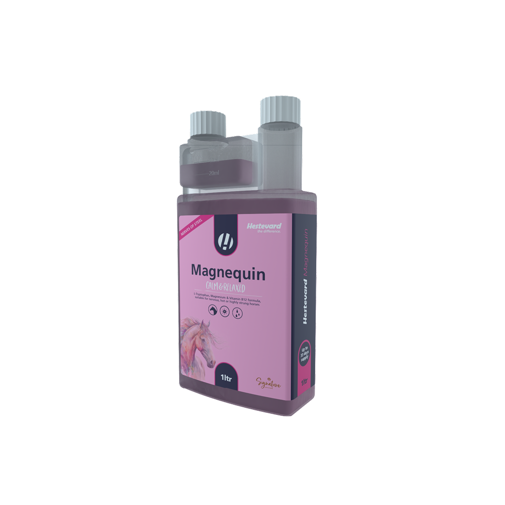 Hestevard Magnequin