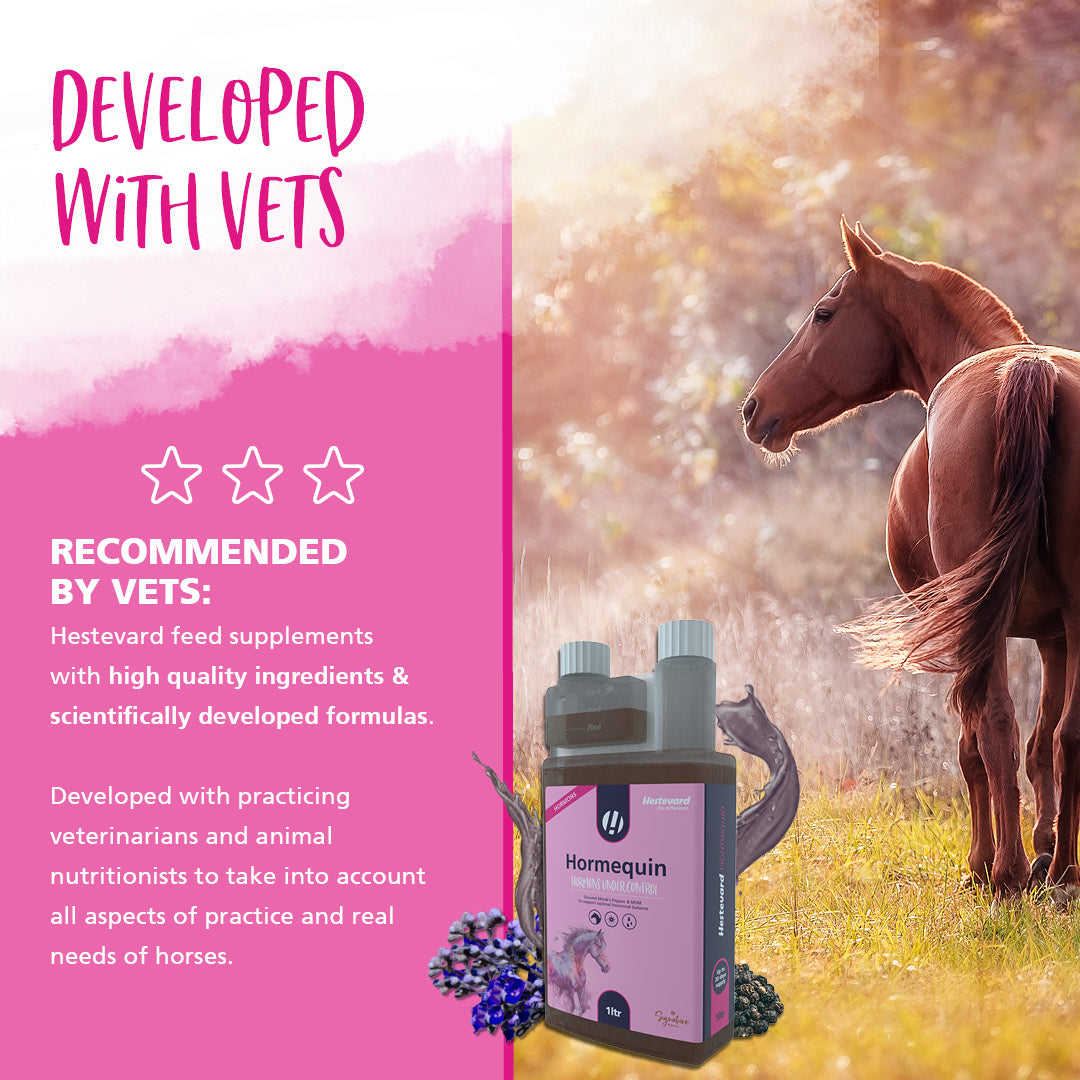 Hestevard Hormequin