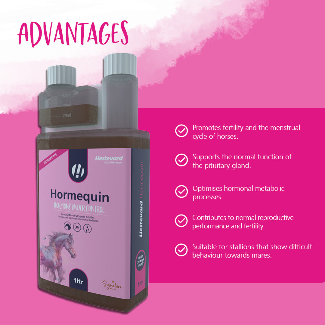 Hestevard Hormequin