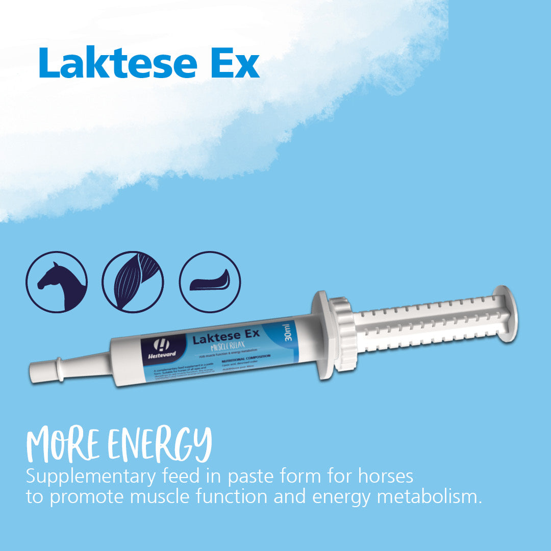 Hestevard Laktese Ex Paste 30ml