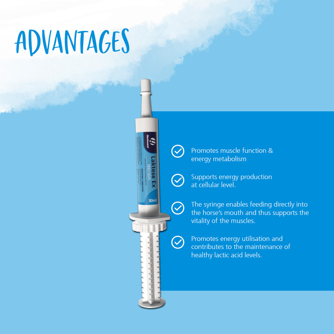 Hestevard Laktese Ex Paste 30ml