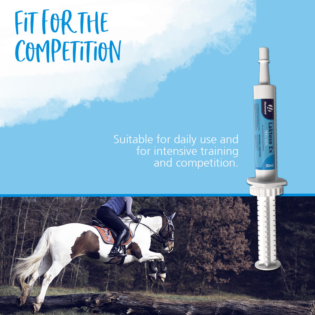 Hestevard Laktese Ex Paste 30ml