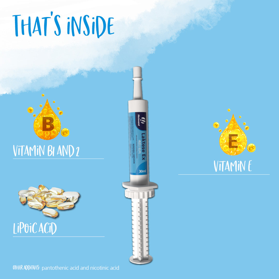 Hestevard Laktese Ex Paste 30ml