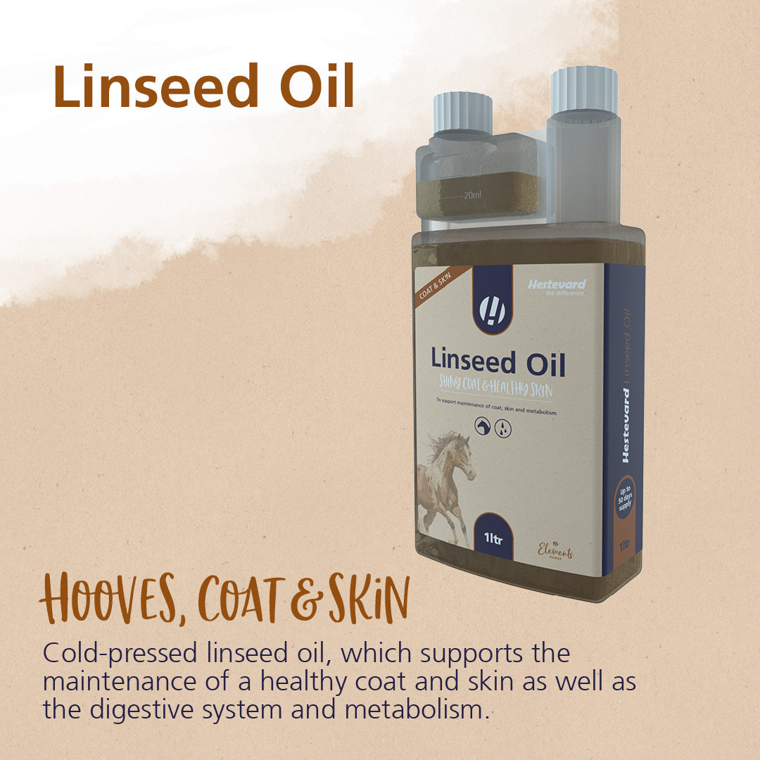 Hestevard Linseed Oil