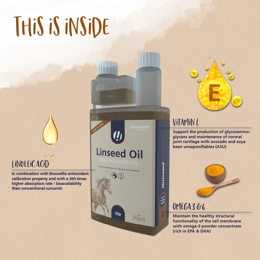 Hestevard Linseed Oil