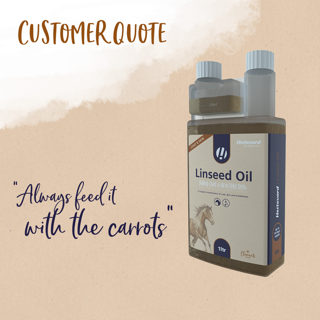 Hestevard Linseed Oil